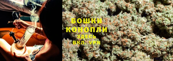 винт Пестово