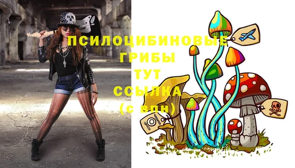 мдма Пересвет
