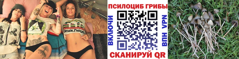 Псилоцибиновые грибы MAGIC MUSHROOMS  дарк нет официальный сайт  ссылка на мегу рабочий сайт  Яровое  наркошоп 
