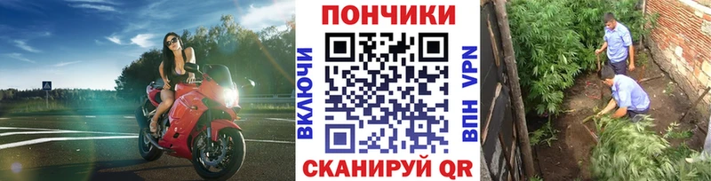 Бошки марихуана семена  Яровое 